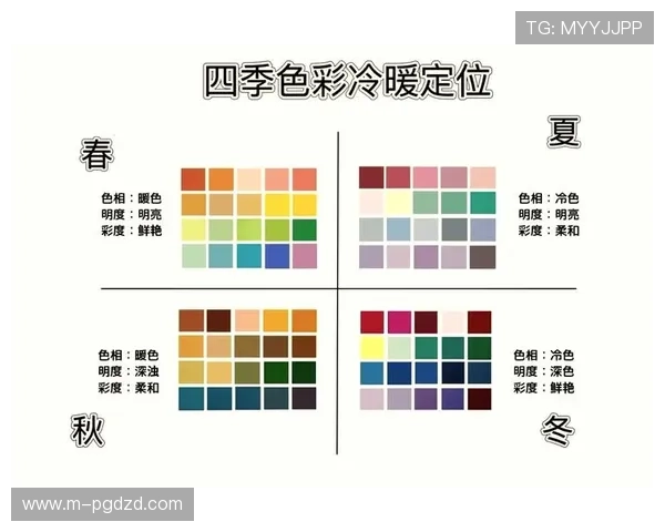 篮球PG全称的定义及其在篮球运动中的角色定位和职责范围分析