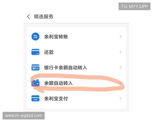 PG平台电子提现手续费标准及优化建议，帮助用户降低转账成本